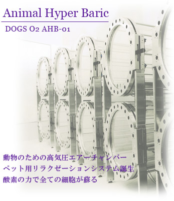 動物のための高気圧エアチャンバー「DOGS O2」